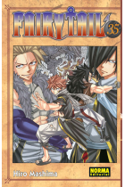 Fairy Tail 35