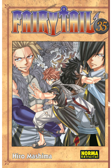 Fairy Tail 35