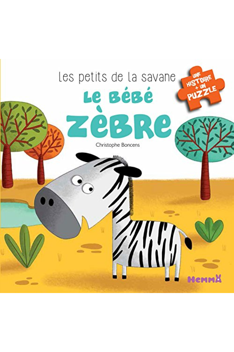 Les petits de la savane : le bébé zèbre