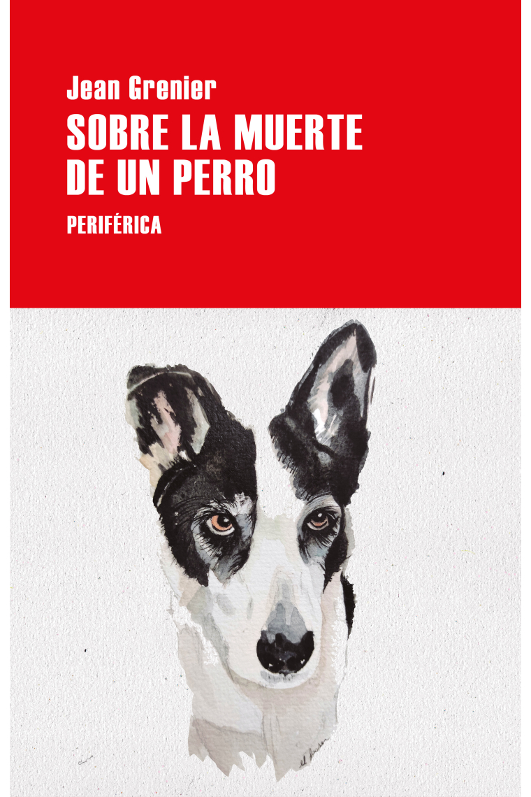 Sobre la muerte de un perro