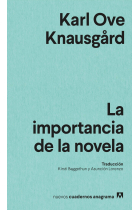 La importancia de la novela