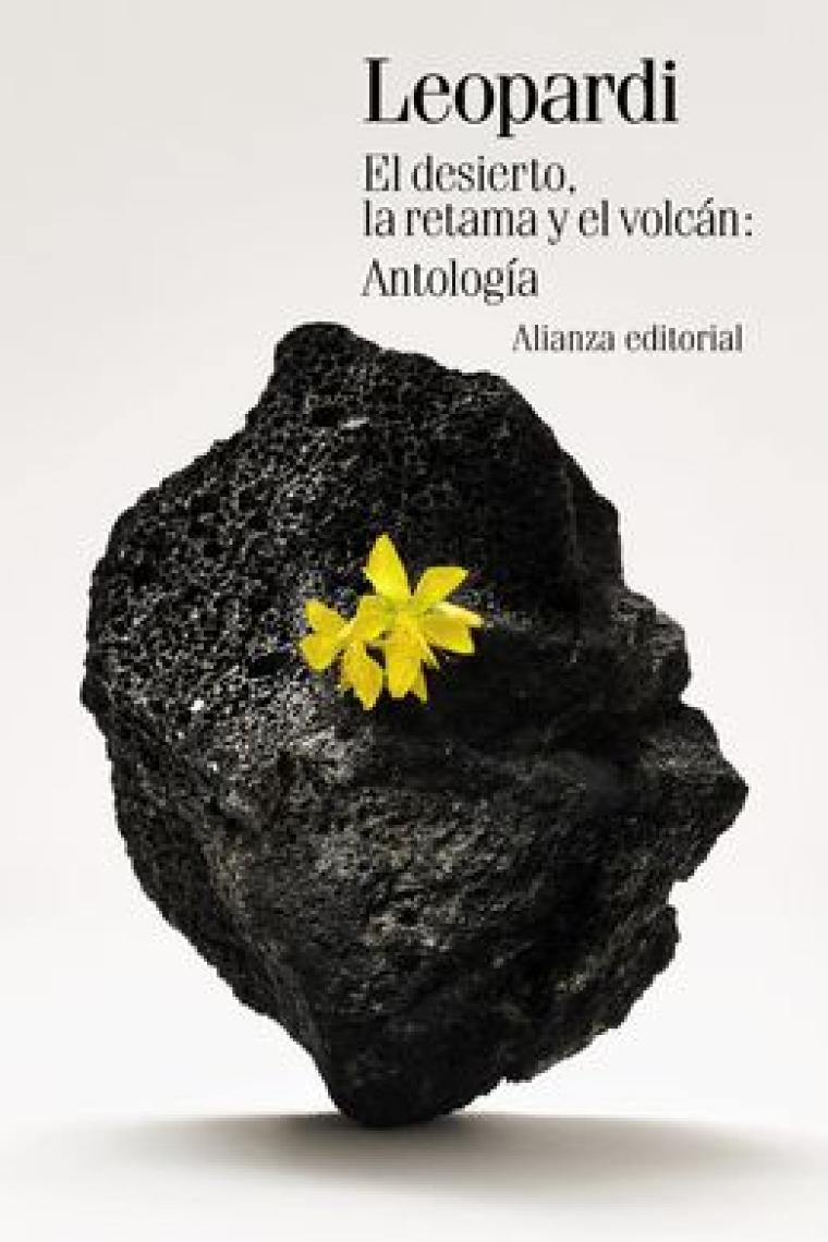 El desierto la retama y el volcán
