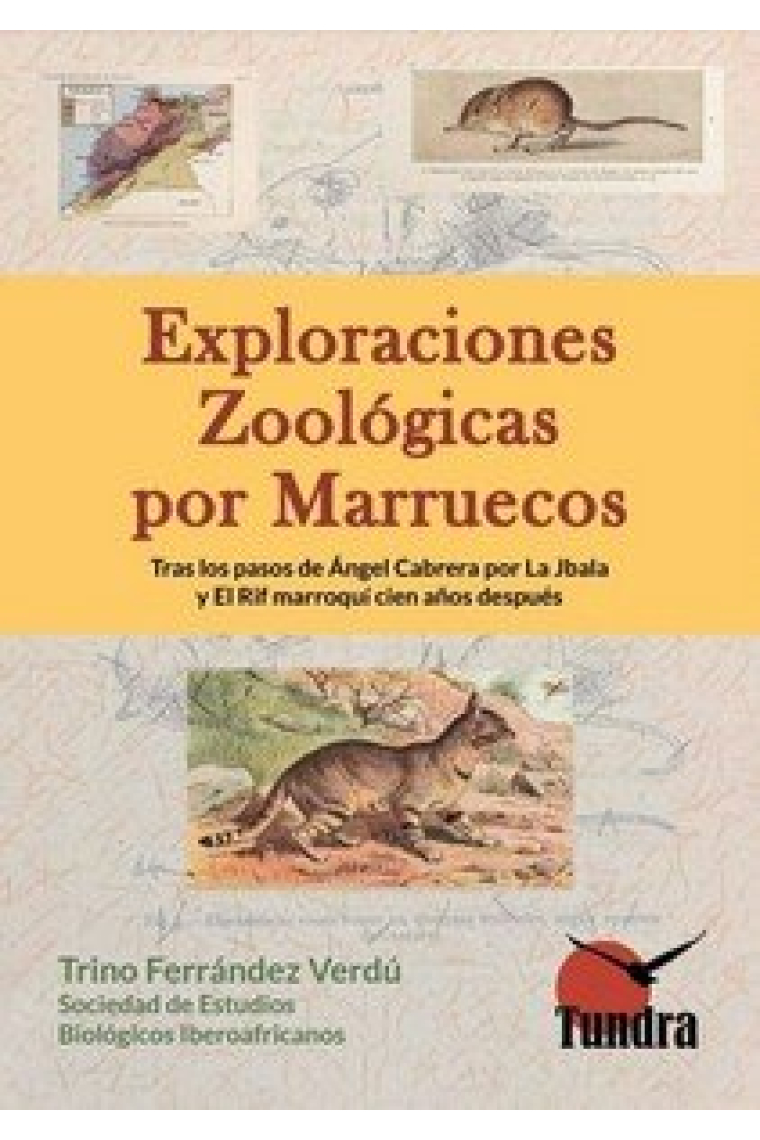 EXPLORACIONES ZOOLOGICAS POR MARRUECOS