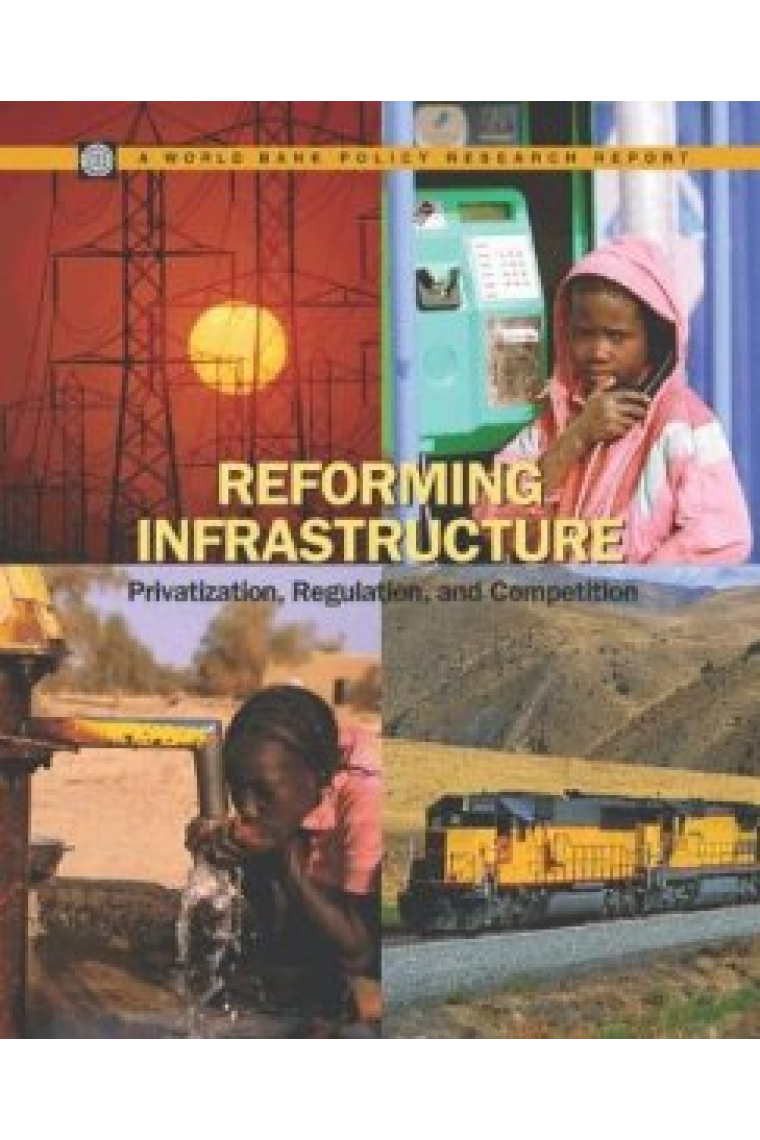 Reforming infrastructure., Privatization, regulation and competition