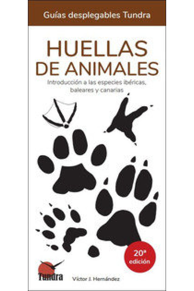 HUELLAS DE ANIMALES INTRODUCCION A LAS ESPECIES IBERICAS 20