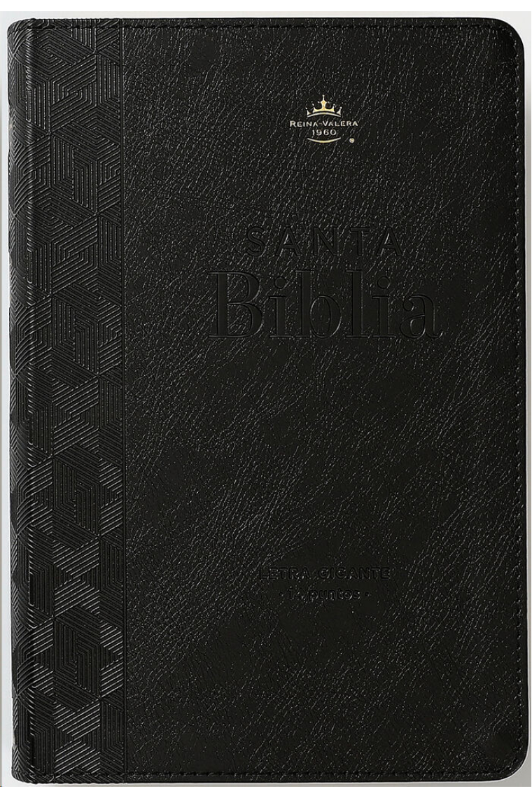 Biblia Reina Valera 1960 (RVR60): Tamaño Manual Letra gigante (Formato de piel negro)