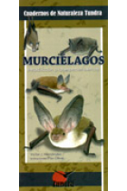 Murciélagos. Introducción a las especies ibéricas