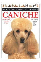 Caniche. Estándar, enano y toy.