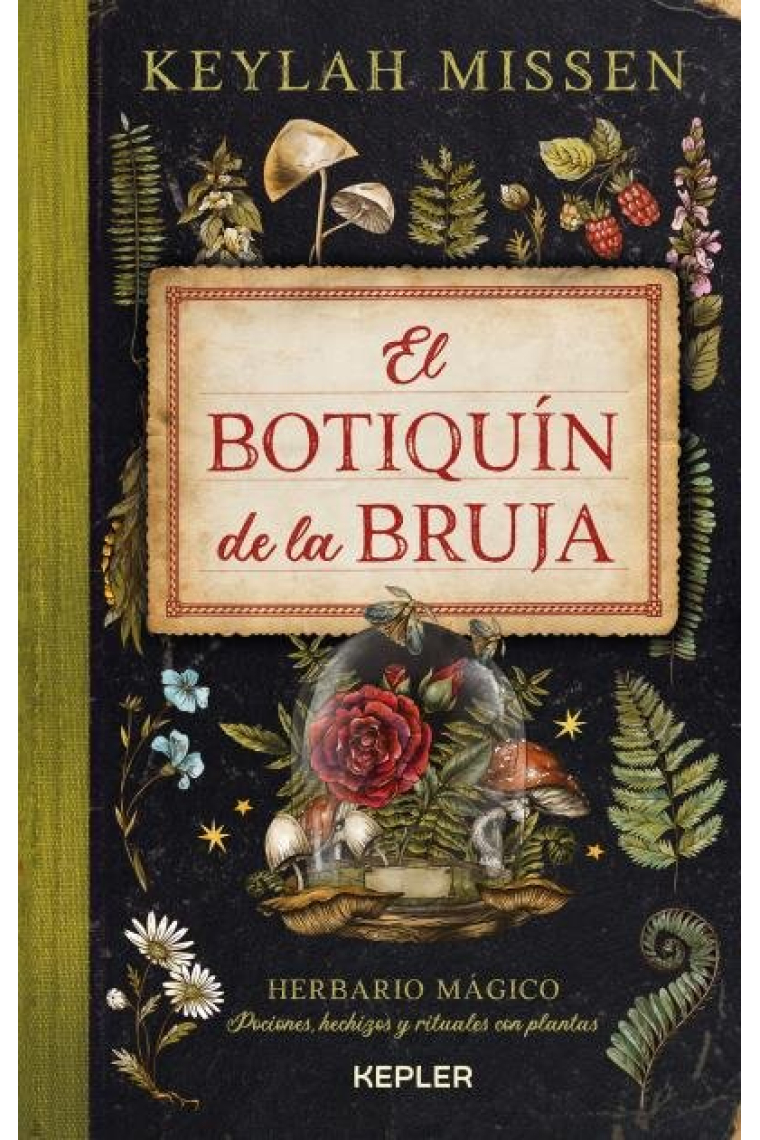 El botiquín de la bruja