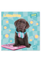 CALENDARIO 2025 30X30 STUDIO PETS LABRADOR