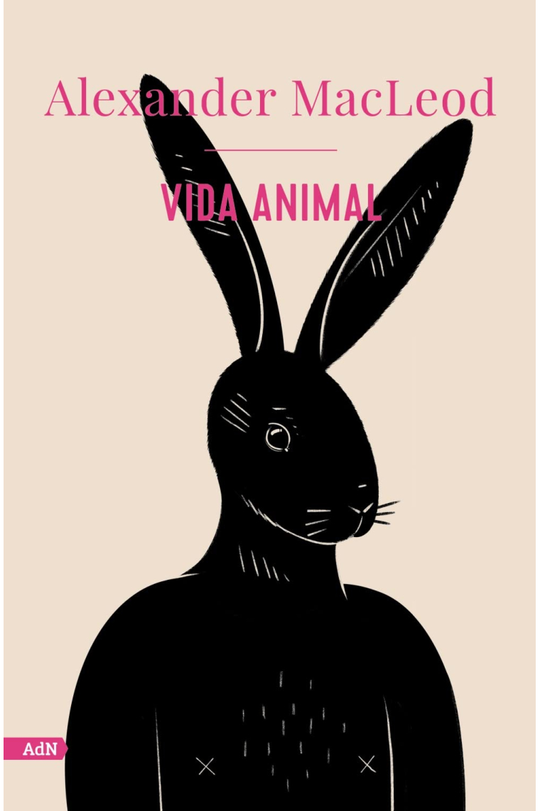 Vida animal