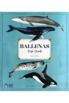 Balenes. Vida Secreta