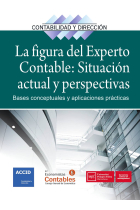 La figura del experto contable: situación actual y perspectivas