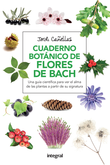 Cuaderno botanico flores de bach 2ª ed.