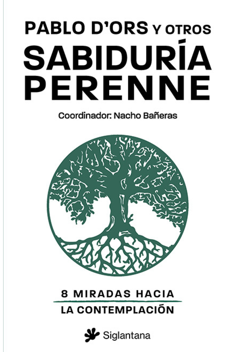 Sabiduría perenne: 8 miradas hacia la contemplación