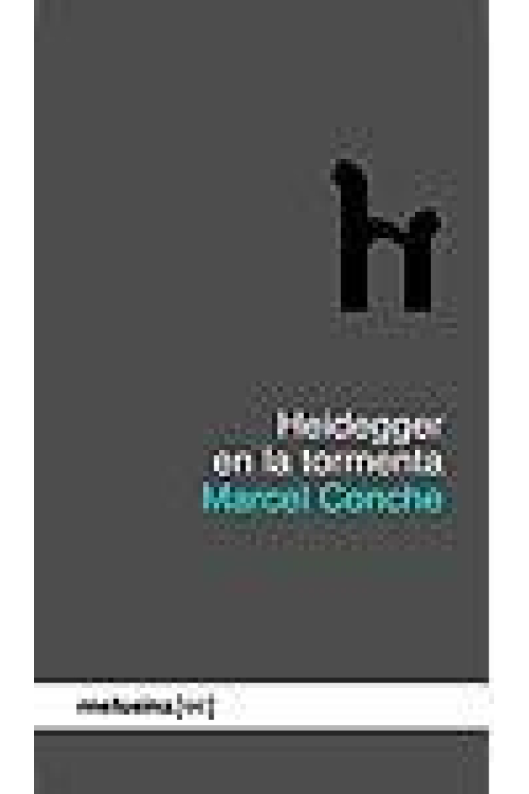 Heidegger en la tormenta