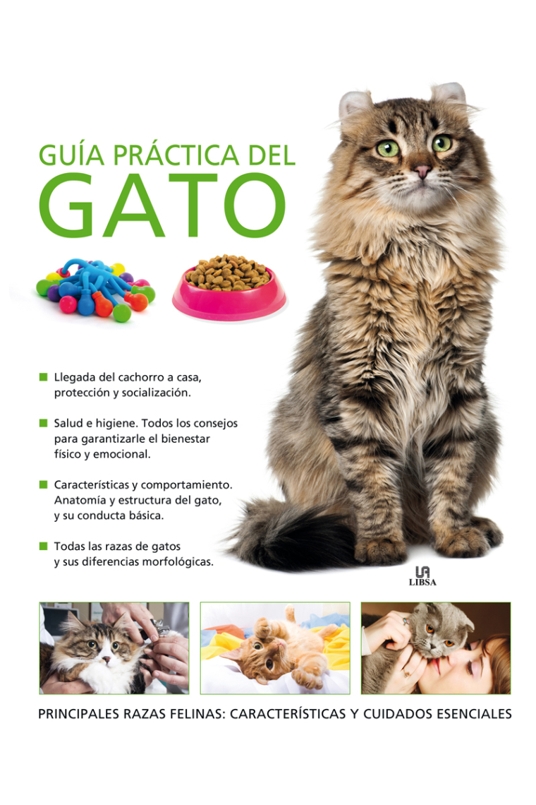 Guía práctica del gato