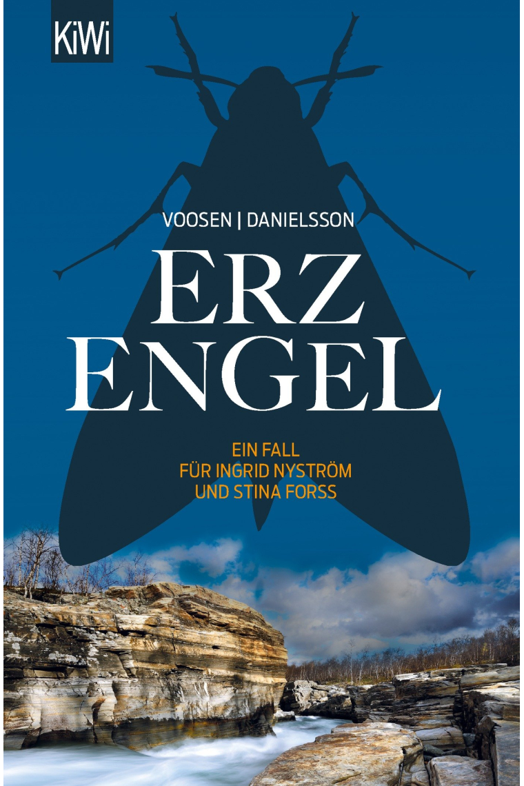 Erzengel: Ein Fall für Ingrid Nyström und Stina Forss, 6