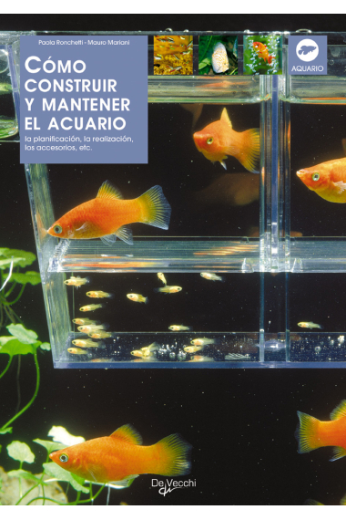 Cómo construir y mantener el acuario