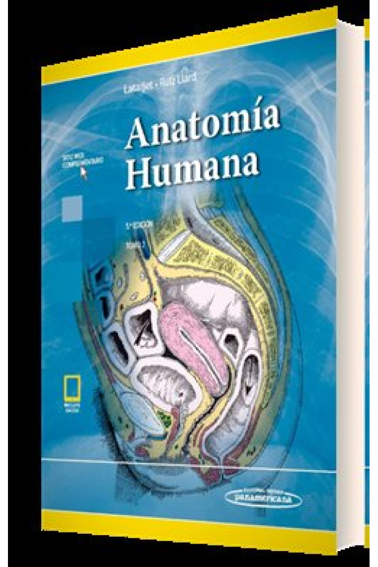 LATARJET:Anatomía Humana 5Ed. T2 +e