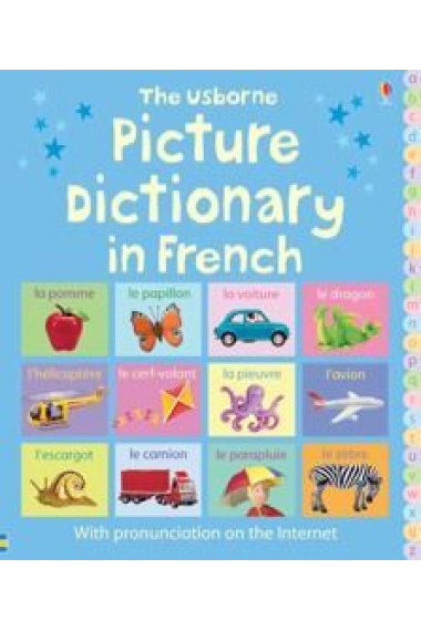 The Usborne Picture Dictionary in French