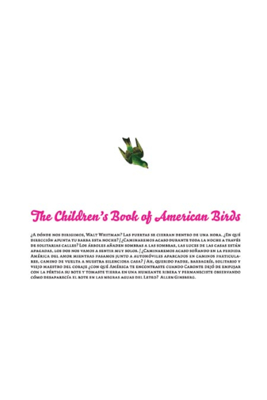 The Children's Book of American Birds. Revista nº1