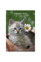 Katzenkalender 2009