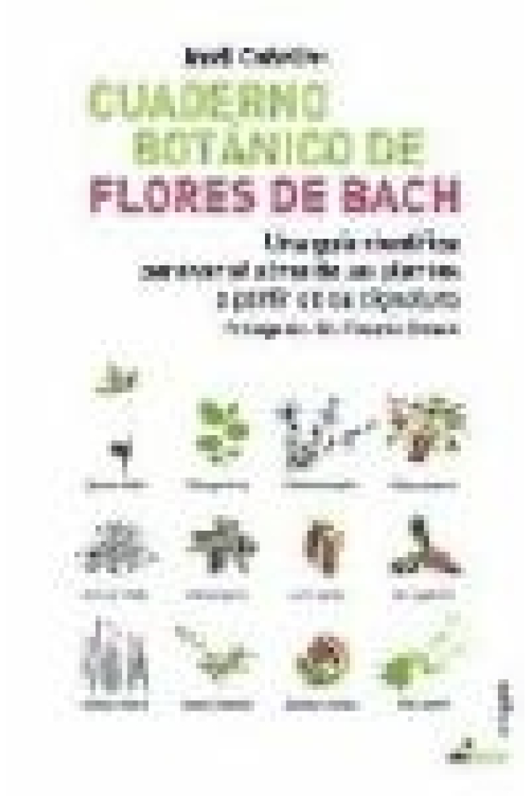 Cuaderno botánico de flores de bach