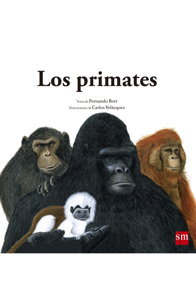 Los primates