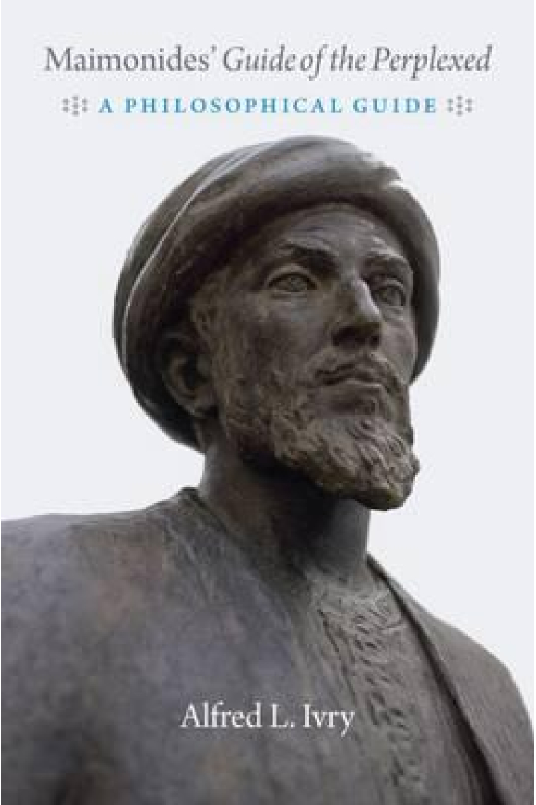 Maimonides' Guide to the perplexed: a philosophical guide