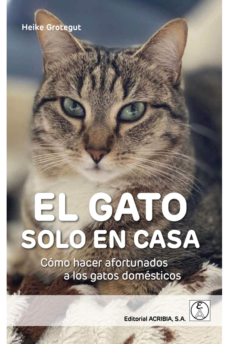 El gato solo en casa. Cómo hacer afortunados a los gatos domésticos
