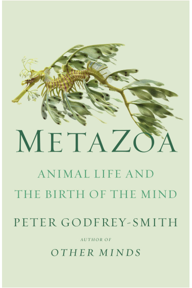 Metazoa: Animal Life and the Birth of the Mind