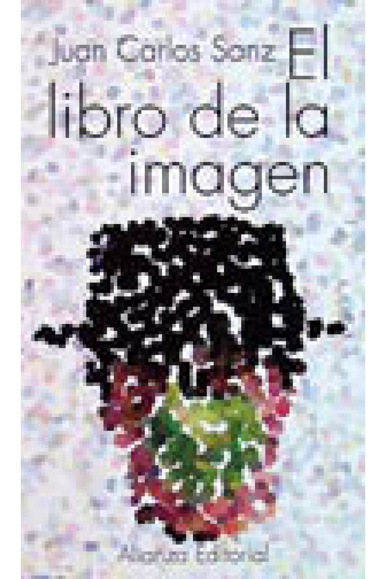 El libro de la imagen