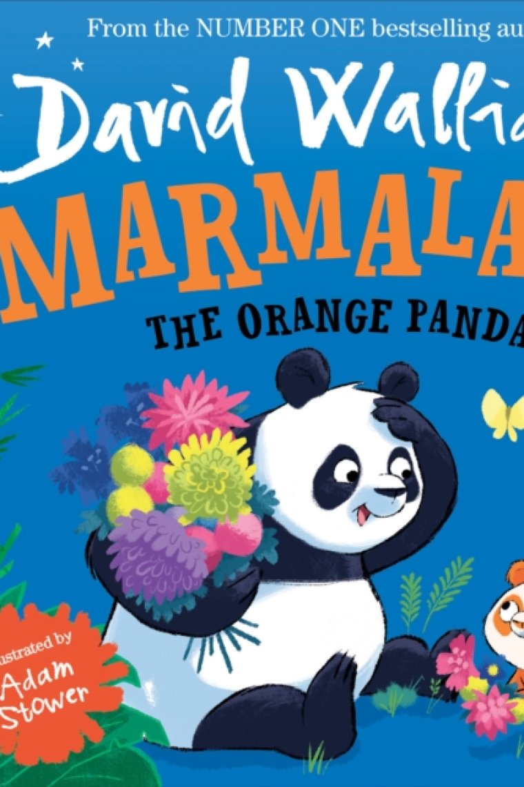 Marmalade: The Orange Panda