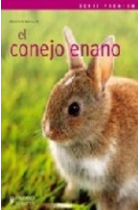 El conejo enano