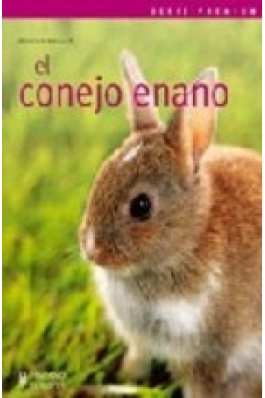 El conejo enano