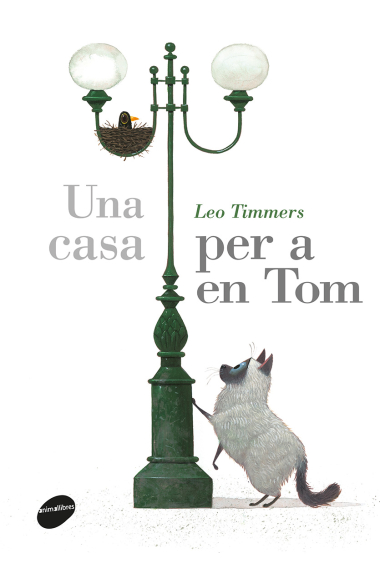 Una casa per a en Tom