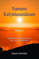 Namámi Kalyanasundaram Parte 1. Experiencias devocionales con Shrii Shrii Ánandamúrti