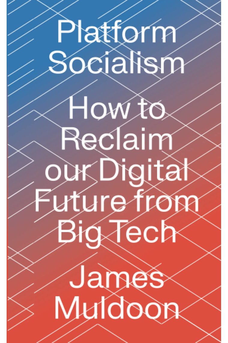 Platform Socialism: How to Reclaim our Digital Future from Big Tech