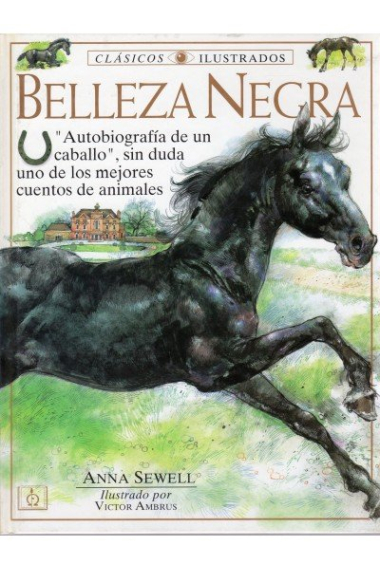 BELLEZA NEGRA