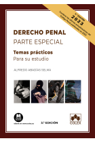 DERECHO PENAL PARTE ESPECIAL TEMAS PRACTICOS PARA SU ESTUDI