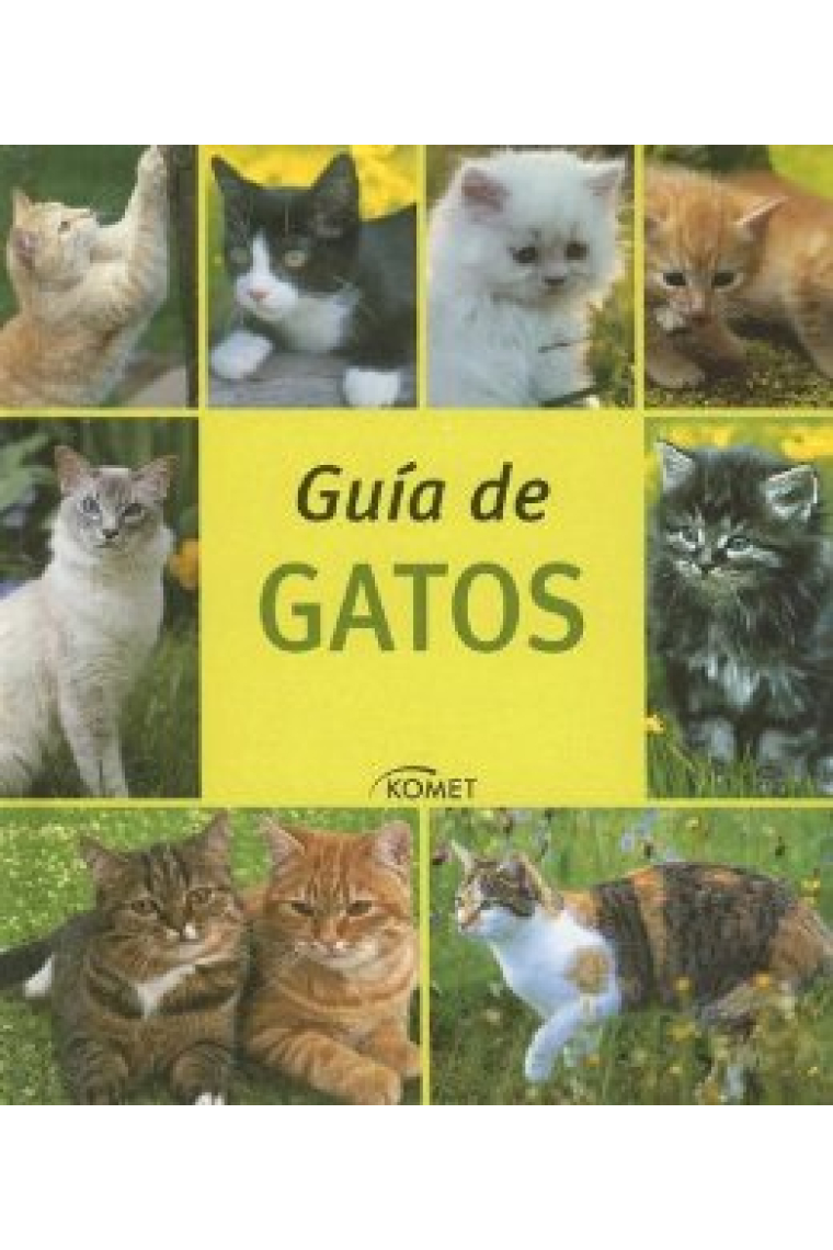 Guia de gatos