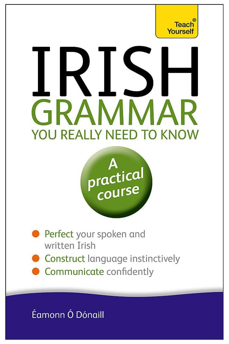 Irish Grammar You Really Need to Know: Teach Yourself