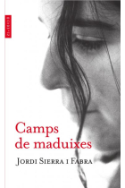 Camps de maduixes