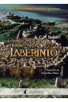 Dentro del laberinto