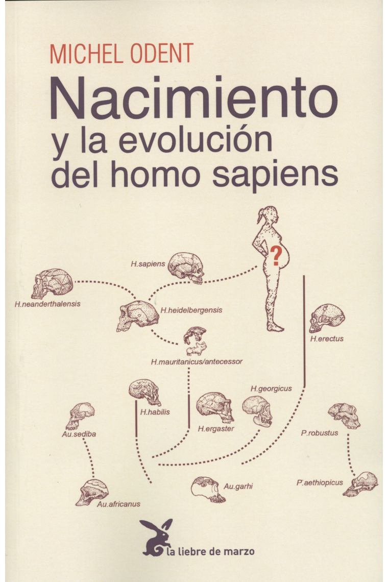 Nacimiento y la evolución del homo sapiens