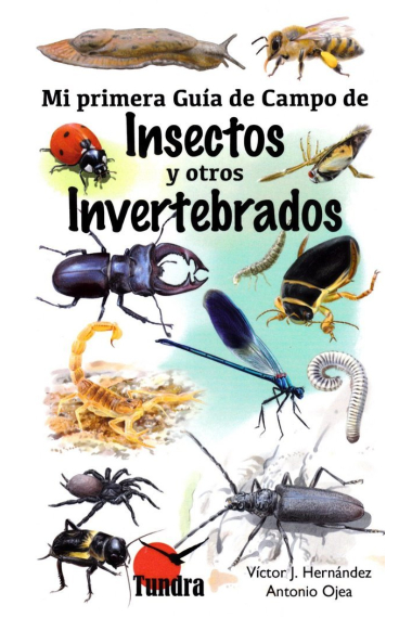 Mi primera guía de campo de insectos y otros invertebrados