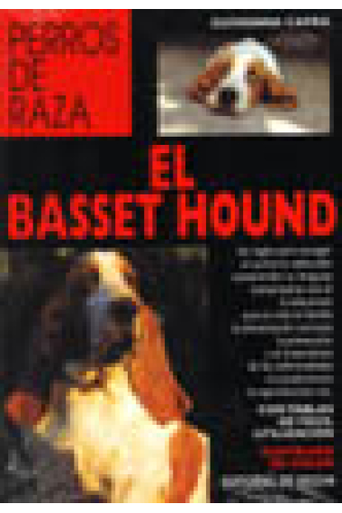 El basset hound