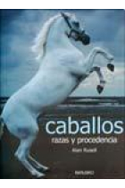 Caballos. Razas y procedencia