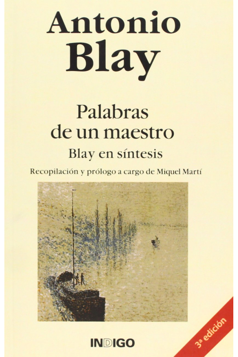 Palabras de un maestro - blay en sintesis